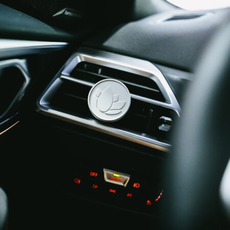 Nanolex Stone Perfume Diffusor Stone Perfume Diffuser